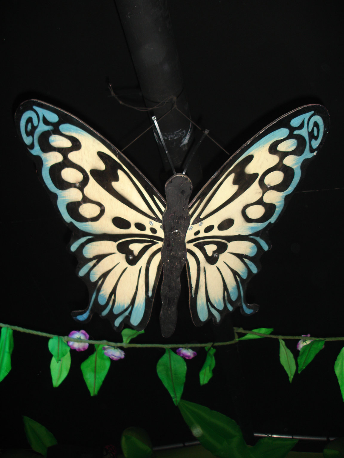 DSC03625_Butterfly.JPG